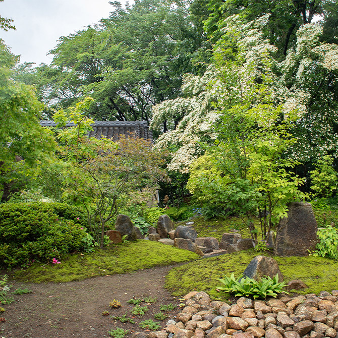 割引 【愛媛県松山市の庭師】広いお庭、高所作業、害虫でお困りの方へ、剪定・伐採・消毒・芝刈りなどお庭の作業をお手伝いします